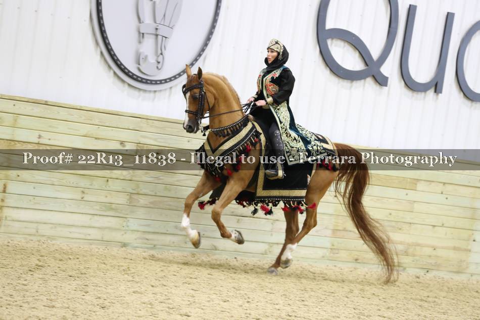 Proof 22R13_11838