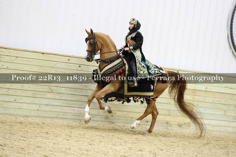 Proof 22R13_11839