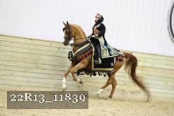 22R13_11839 proof