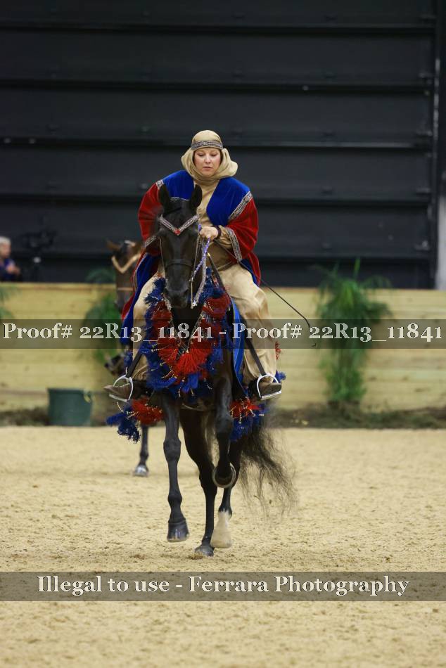 Proof 22R13_11841