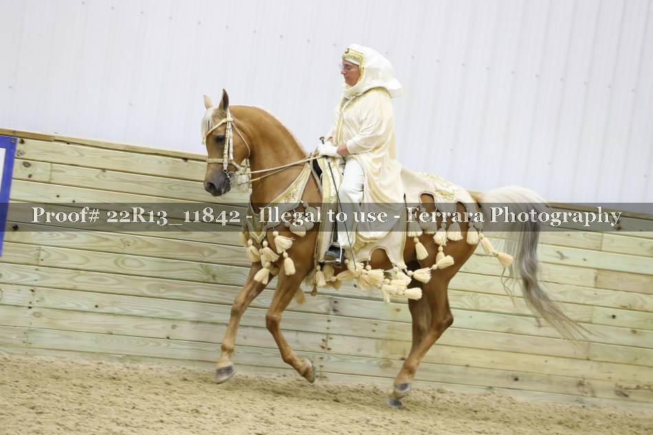 Proof 22R13_11842