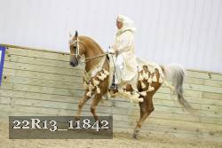 22R13_11842 proof