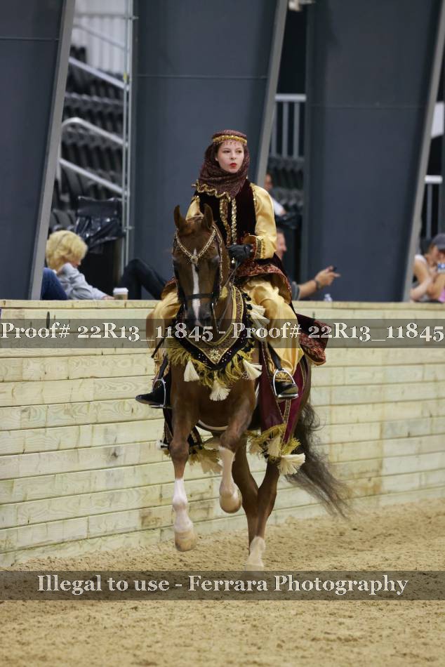 Proof 22R13_11845