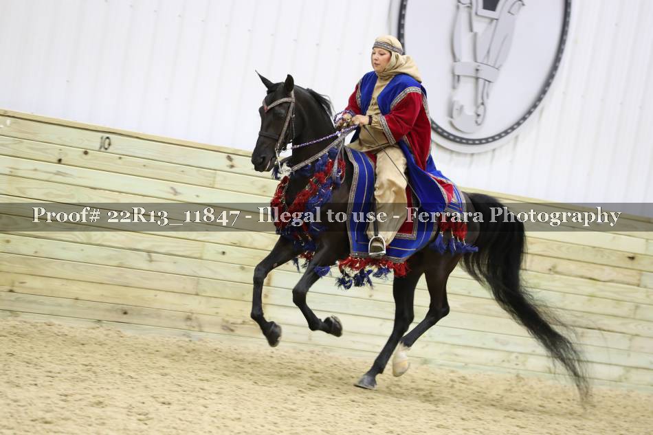 Proof 22R13_11847