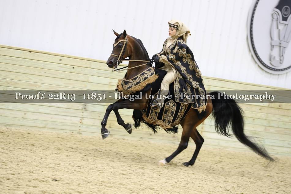 Proof 22R13_11851