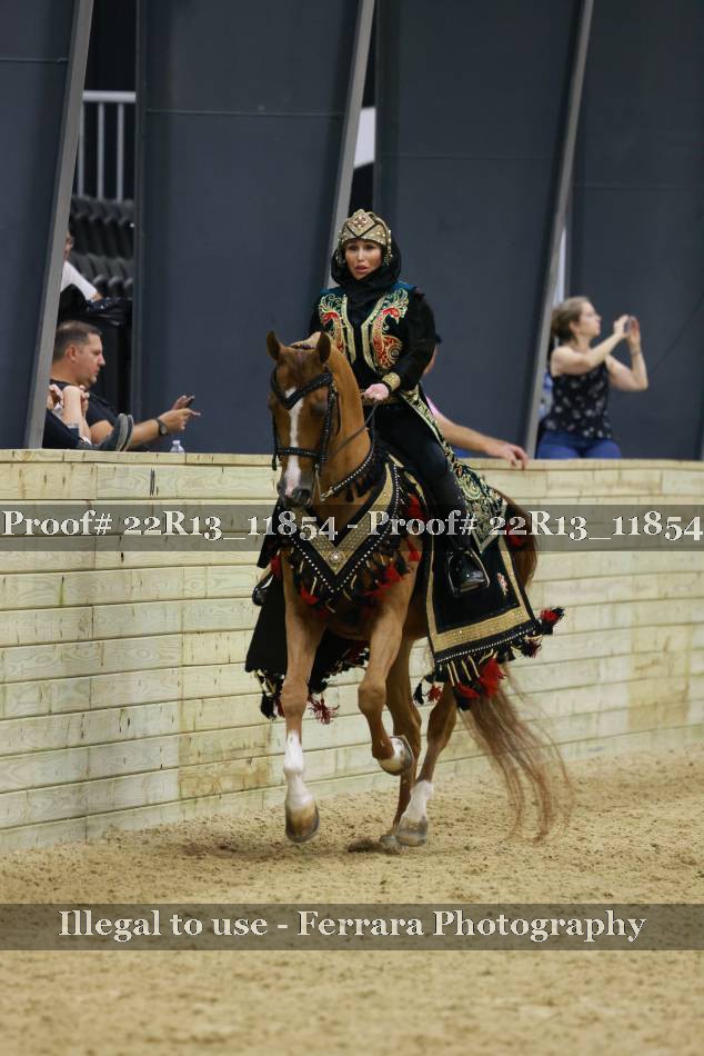 Proof 22R13_11854