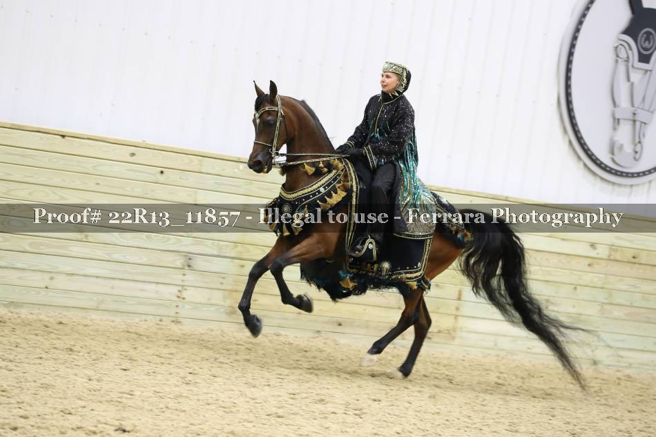Proof 22R13_11857