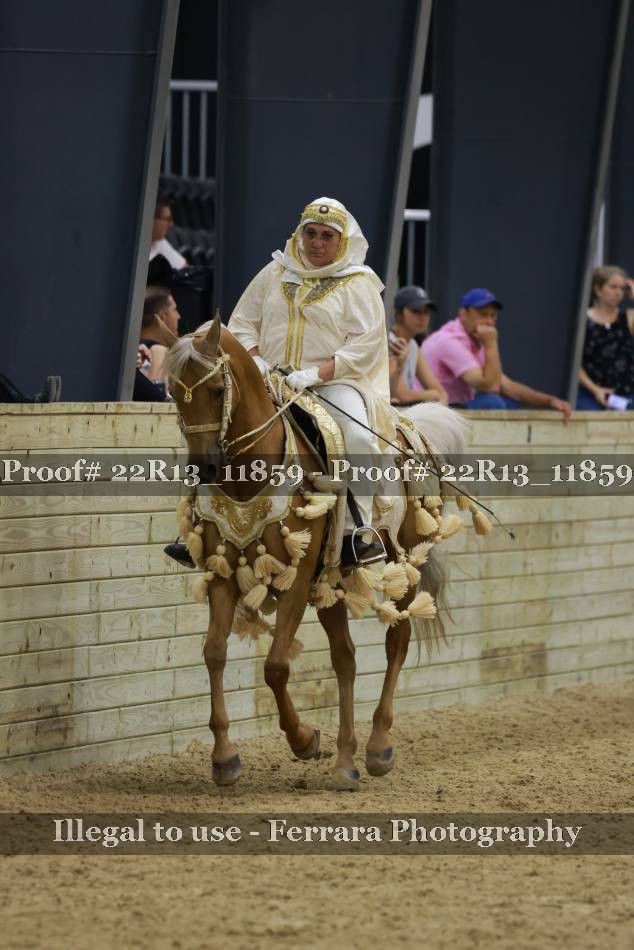 Proof 22R13_11859