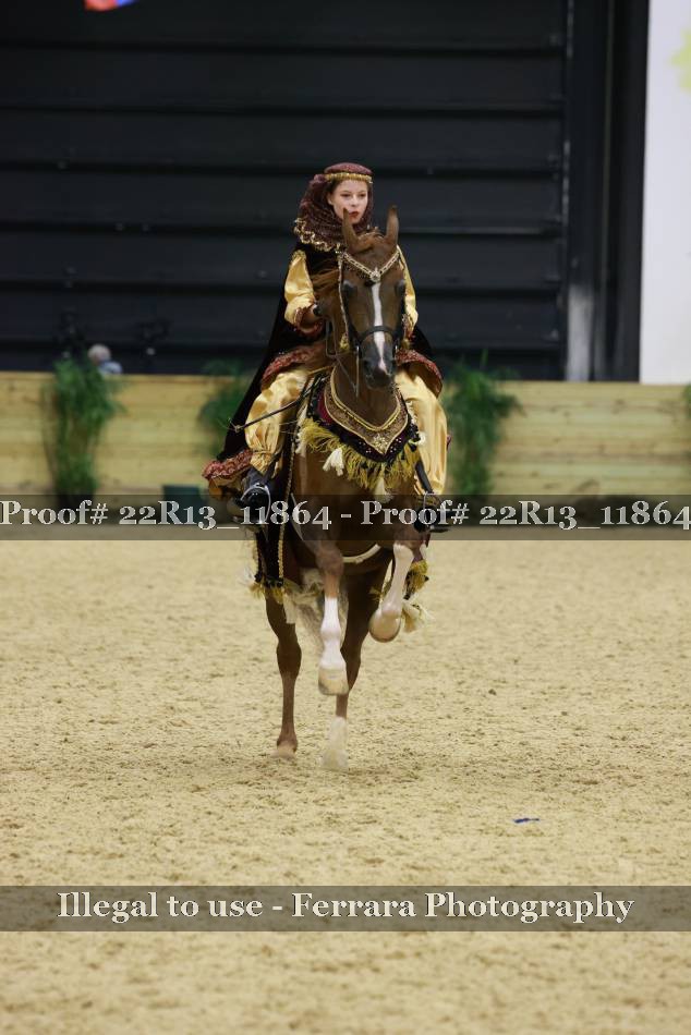 Proof 22R13_11864