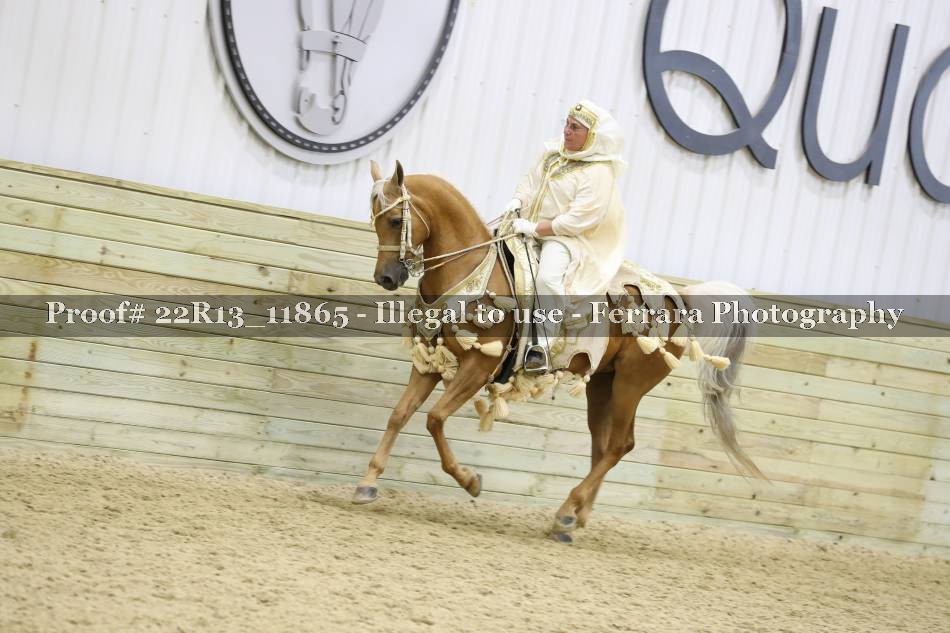Proof 22R13_11865