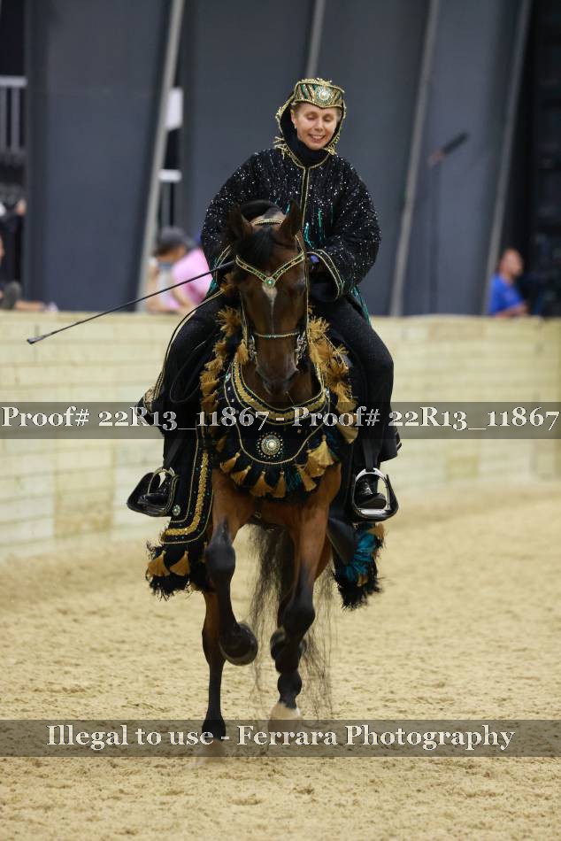 Proof 22R13_11867