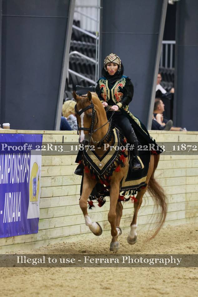 Proof 22R13_11872