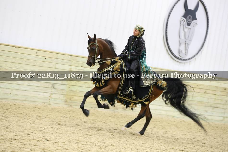 Proof 22R13_11873