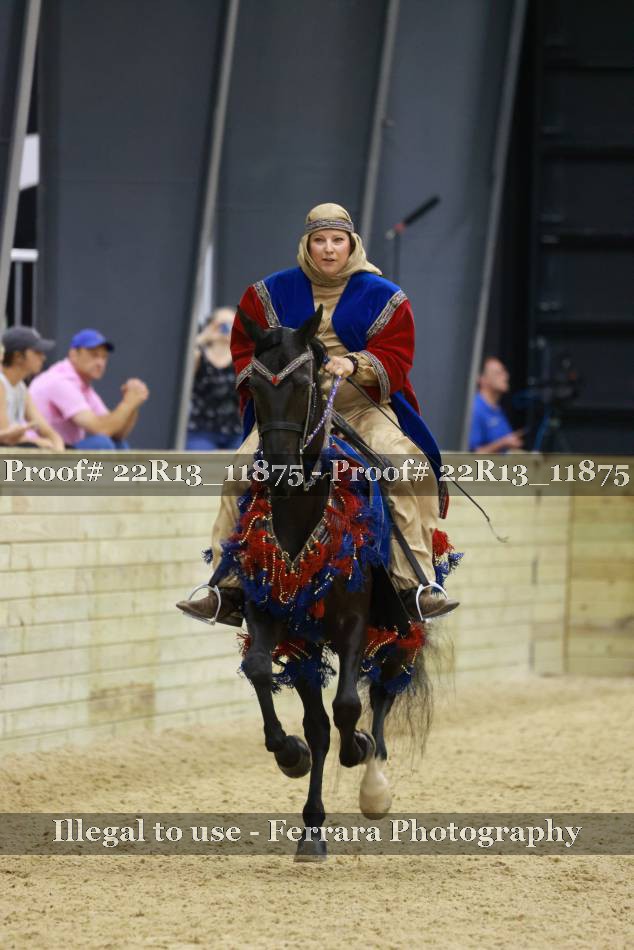 Proof 22R13_11875
