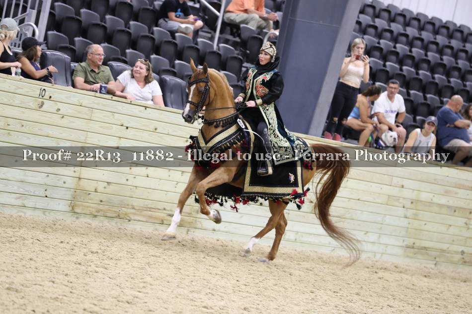 Proof 22R13_11882