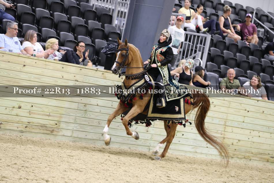 Proof 22R13_11883