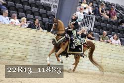 22R13_11883 proof