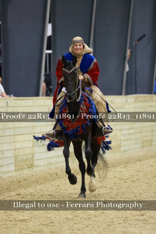 Proof 22R13_11891