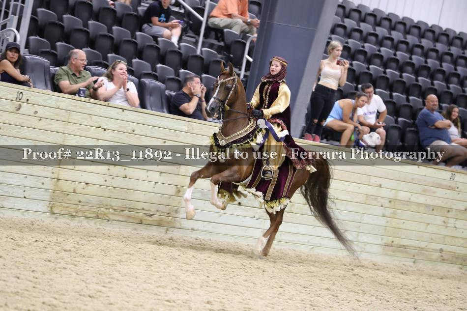 Proof 22R13_11892