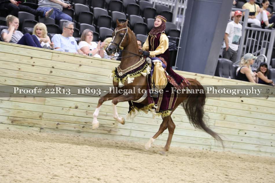 Proof 22R13_11893