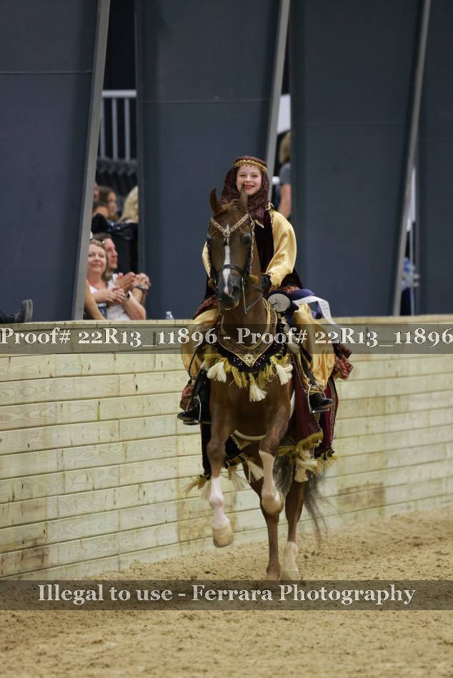 Proof 22R13_11896