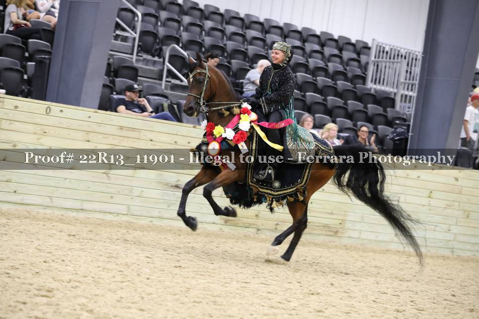 Proof 22R13_11901