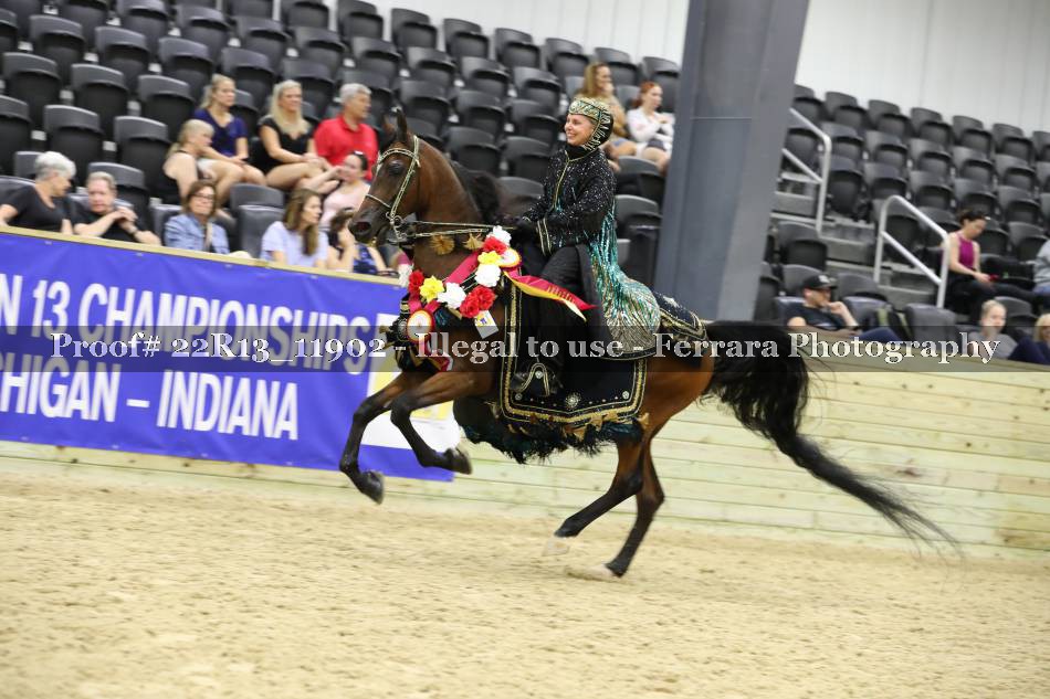 Proof 22R13_11902
