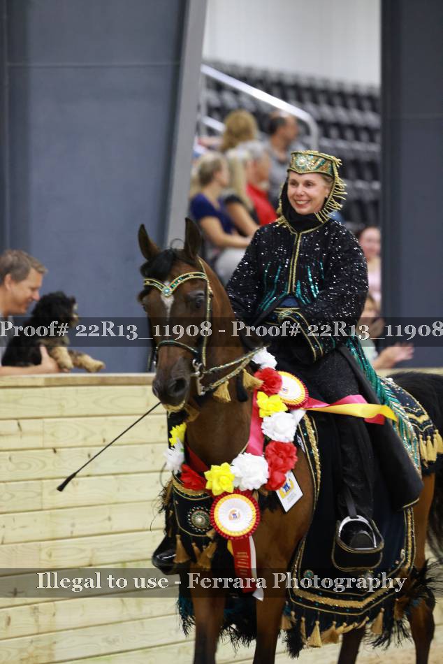 Proof 22R13_11908