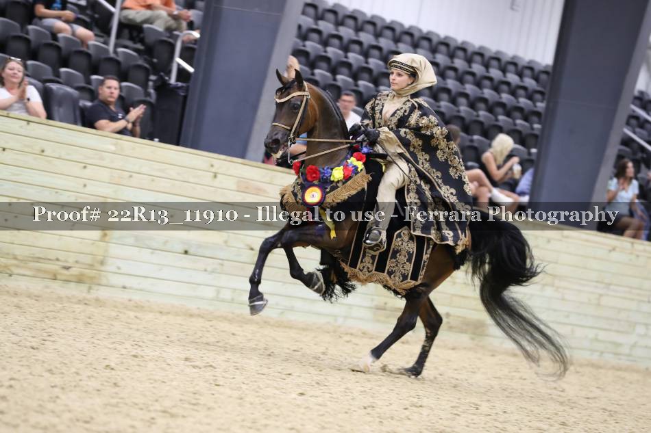 Proof 22R13_11910