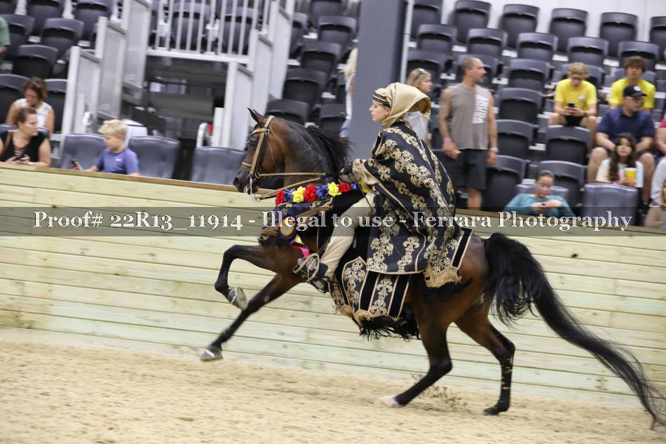 Proof 22R13_11914