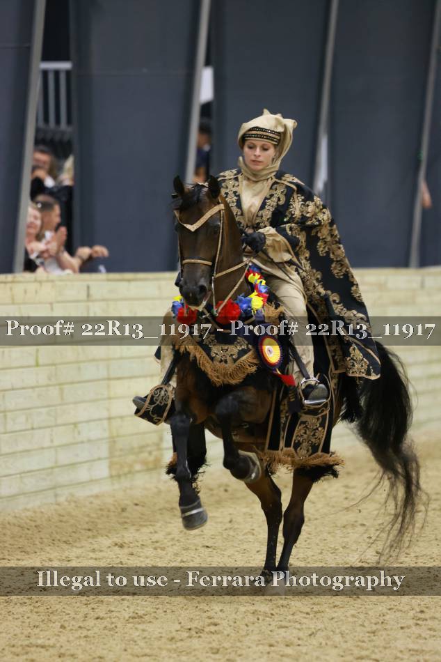 Proof 22R13_11917