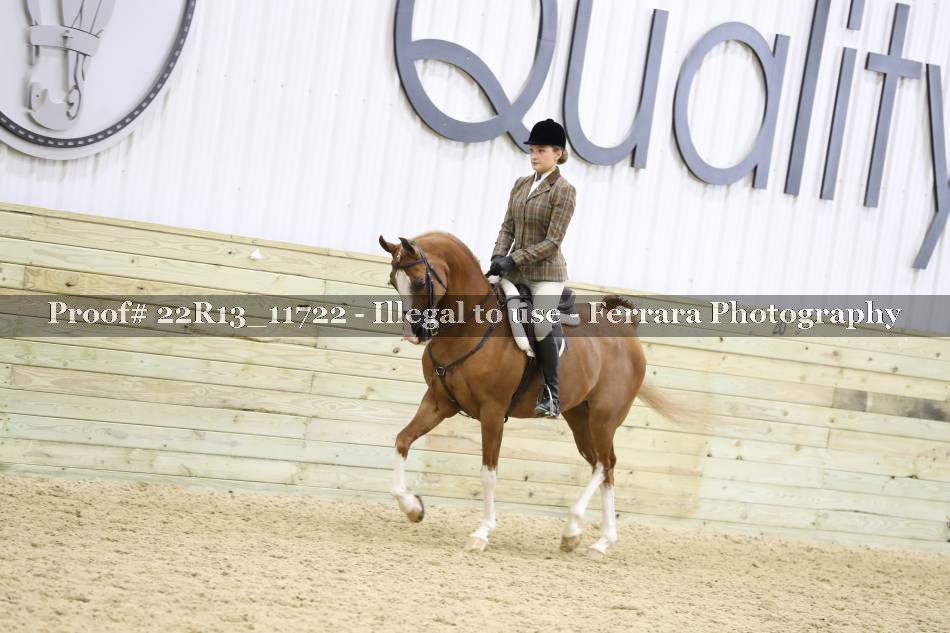 Proof 22R13_11722