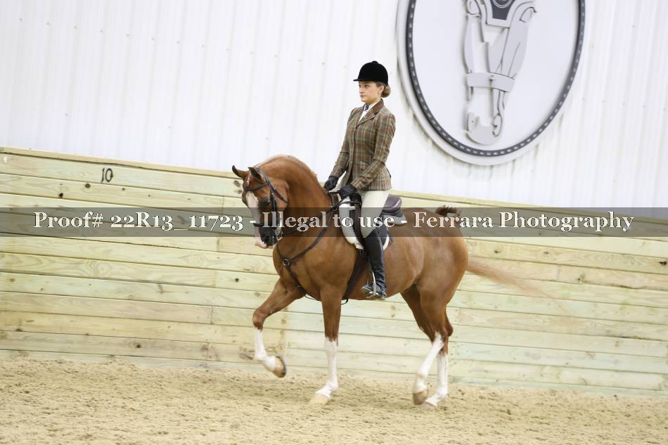 Proof 22R13_11723