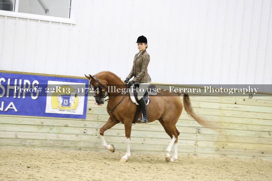 Proof 22R13_11724
