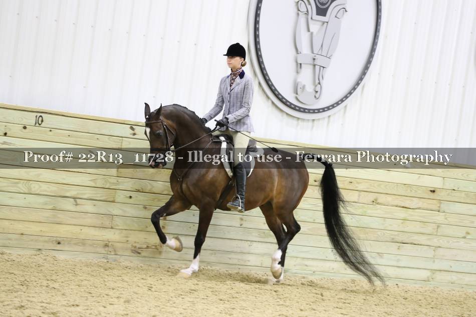 Proof 22R13_11728
