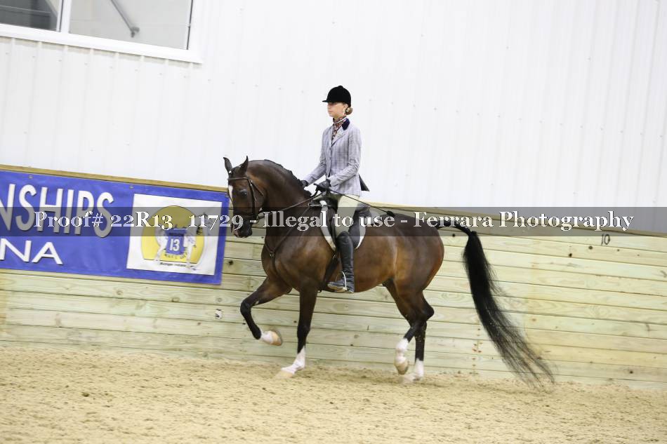 Proof 22R13_11729