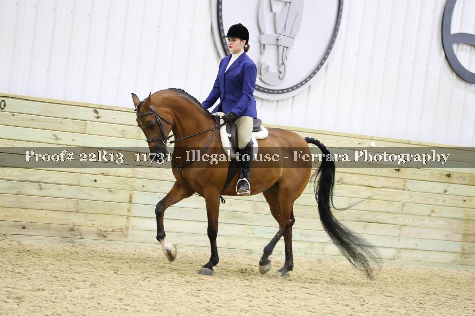 Proof 22R13_11731