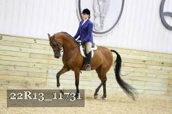 22R13_11731 proof
