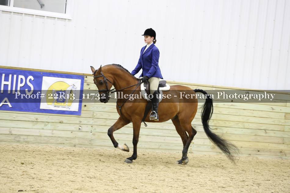 Proof 22R13_11732