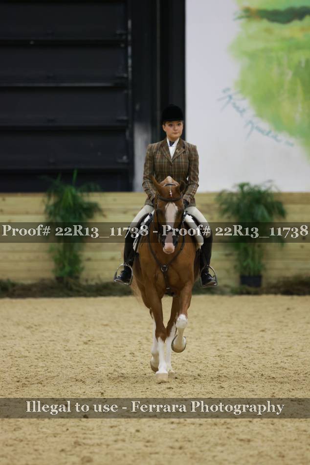Proof 22R13_11738