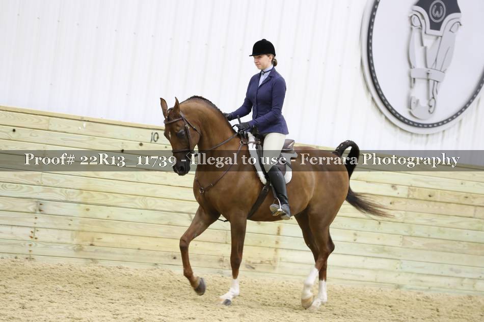 Proof 22R13_11739