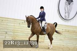 22R13_11739 proof