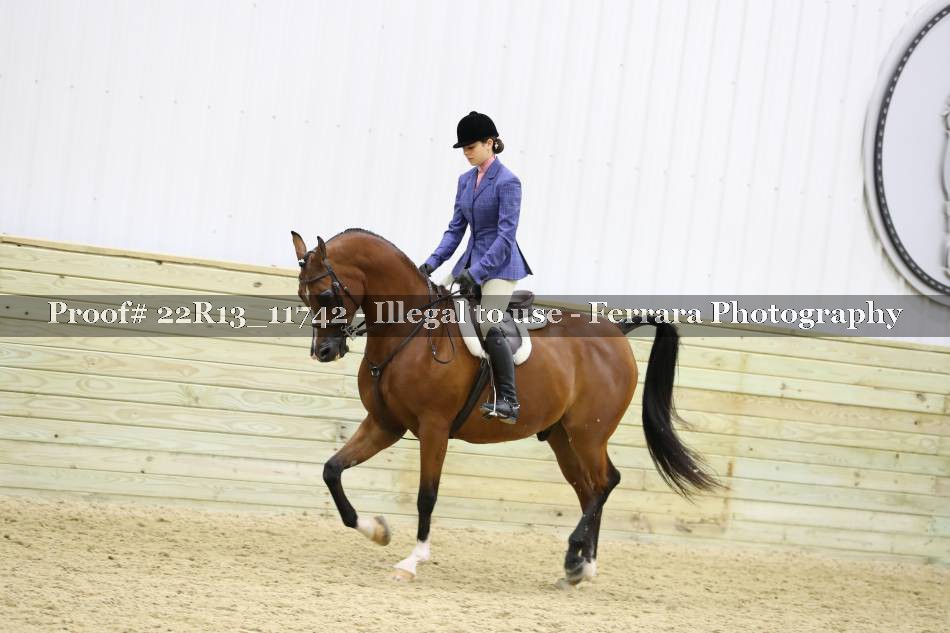 Proof 22R13_11742
