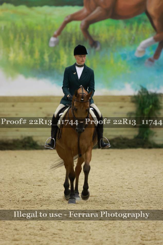 Proof 22R13_11744