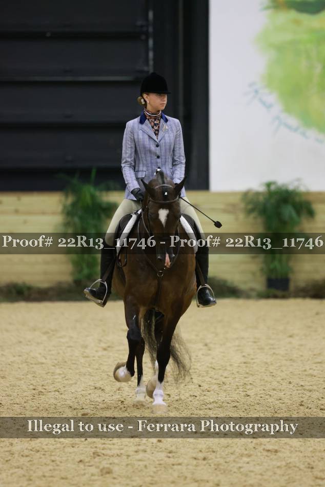 Proof 22R13_11746