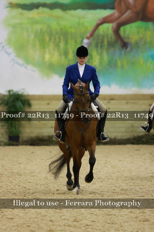 Proof 22R13_11749