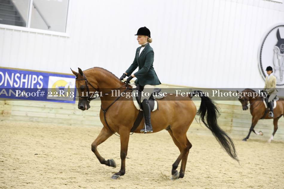 Proof 22R13_11751