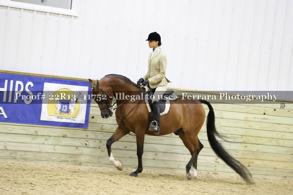 Proof 22R13_11752
