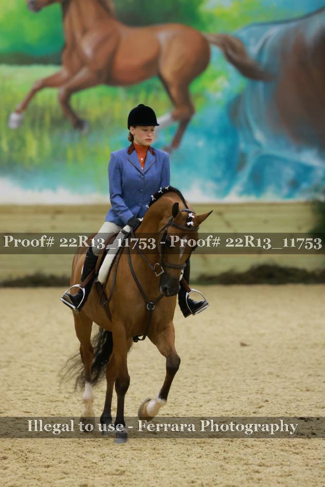 Proof 22R13_11753