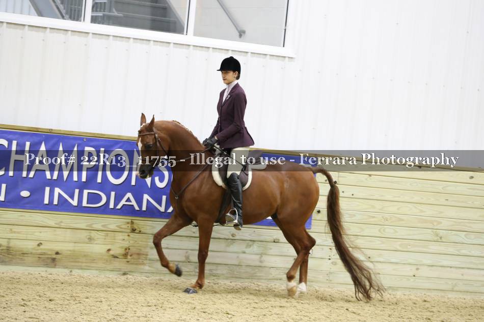 Proof 22R13_11755